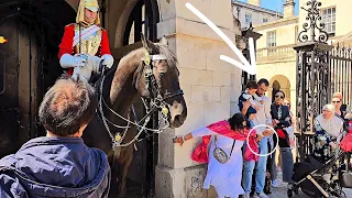 "Disrespectful Part 2: Do Not Mess with the King's Horse" at Horse Guards—SHE HELD THE MAN'S "THING"