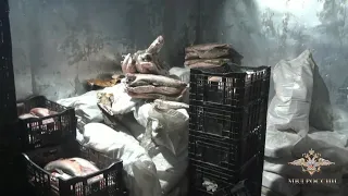 Подпольное рыбное производство закрыто в Астрахани