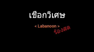 เชือกวิเศษ | Labanoon (ร้องสด)