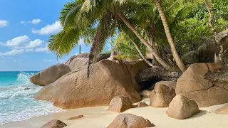 Exploring the amazing Praslin Island, Seychelles | What to do on Praslin Island ?