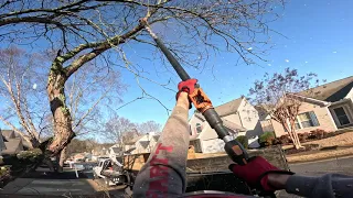 Removing a front yard tree (RAW FOOTAGE)