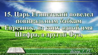 ВидеоБиблия Книга Исход с музыкой глава 1 Бондаренко