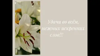 ОТ ВСЕЙ ДУШИ! Самые лучшие пожелания! поздравляю с днём рождения!