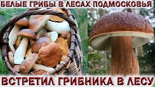 ❗БЕЛЫЕ ГРИБЫ В ЛЕСАХ ПОДМОСКОВЬЯ.👉ВСТРЕТИЛ ГРИБНИКА.💥ОЖОГ ОТ БОРЩЕВИКА.☠КОМАРЫ.🍄Хочу за грибами 2021