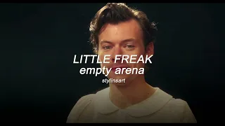 Little Freak -  Harry Styles (empty arena)