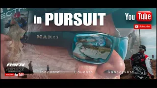 In PURSUIT | Surf Fishing South Africa | ASFN Rock & Surf