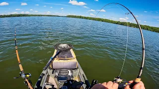 Fishing Live Bait to Catch Dinner from the Kayak | What Happened to this Fish?!