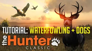 theHunter Classic Tutorial: Waterfowling and Retriever Dog