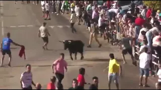 Espectacular cornada en el cuello a un hombre en el encierro de Olmedo