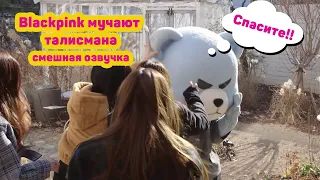 BLACKPINK  замучали мишку смешная озвучка