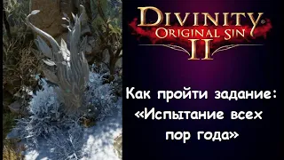 Как пройти задание "Испытание всех пор года" в Divinity 2