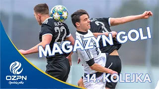 MAGAZYN GOLI BS LEŚNICA 4 LIGA OPOLSKA [14. kolejka 2022/2023]