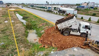 Starting a New Project Small Bulldozer Push Clearing Land With DumpTruck Loading