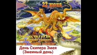 22 июня ДЕНЬ СКИПЕРА ЗМЕЯ