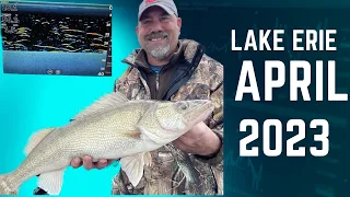 Lake Erie Walleye Fishing April 2023 - Huron Ohio
