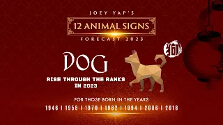 2023 Animal Signs Forecast: Dog [Joey Yap]