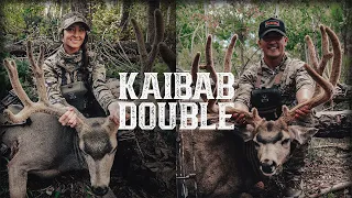 KAIBAB DOUBLE | A Mule Deer Bowhunt