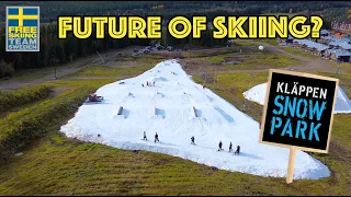 FREESKI SWE -  FUTURE OF SKIING?