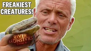 Freakiest Creatures | COMPILATION | River Monsters