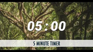 5 Minute Timer | A Day In The Forest | Bird Sound Alarm