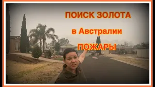 ЗОЛОТО ЗА 2 ЧАСА !!!  //  ПОЖАРЫ В АВСТРАЛИИ // 2020 // ВИКТОРИЯ