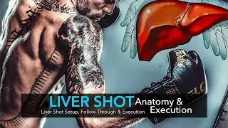 Liver Punch Anatomy & Execution | Boxing, Muay Thai, MMA Tutorial