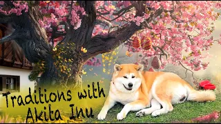 Easter Traditions in Czechia | Open-Air Museum Tour with Akita 🐕