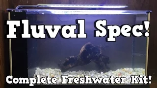 Fluval Spec Unboxing and Set Up! KGTropicals!!