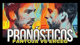 UFC 301 Pantoja vs Erceg - Previa