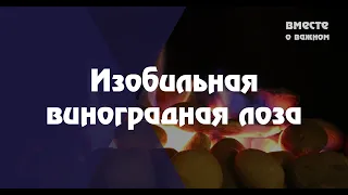 Изобильная виноградная лоза | Христианское караоке