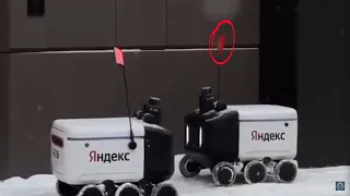 Food Delivery Robots in Russian Having a Conflict