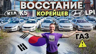 Что такое чистый газ KIA K5 VS Hyundai LPI