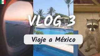 Vlog 3 | Viaje a México.🇲🇽 Encuentro un animal extraño. 24 horas de viaje. 😲