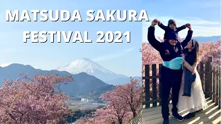 KANAGAWA【Cherry blossoms】2021 まつだ桜まつり |【Cherry blossoms】Matsuda Sakura Festival #4K #小田急 #松田山