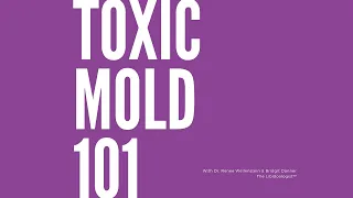 Toxic Mold 101 with Bridgit Danner