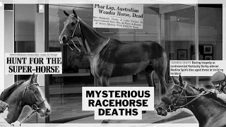 Mysterious Racehorse Deaths (Shergar, Phar Lap,)