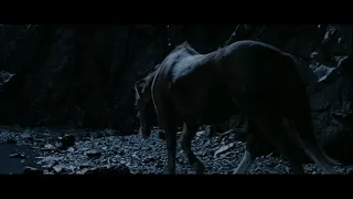 Lord of the Rings from the perspective of Bill the Pony