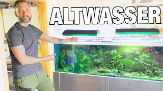 Aquaristik ohne Wasserwechsel. Ja oder Nein?