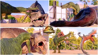 Suchomimus VS All Dinosaurs Killing Animations 🦖 Dinosaurs Fighting - Jurassic World Evolution 2