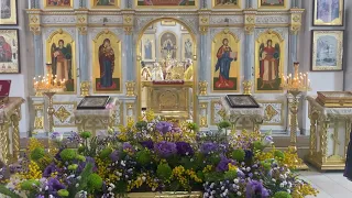Архиерейская служба в Сергиевском храме Скадовска (12.02.2022)