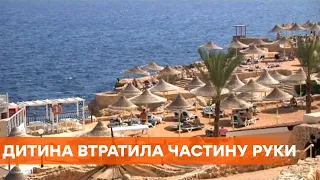 Подробности нападения акулы на украинских туристов в Египте