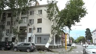 Савелий Читанава прокомментировал ситуацию с упавшими деревьями во время сильного ветра в Сухуме