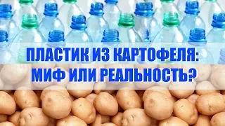 Дыхание жизни. Пластик из картофеля: миф или реальность? Новые технологии.