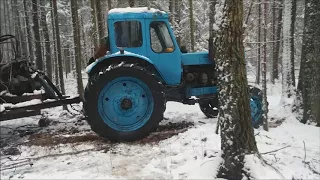 MTZ 52L + Homemade forest trailer works in forest / Praca w lesie 2017 / МТЗ-52 работа в лесу