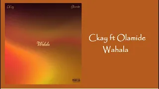 Ckay ft Olamide - Wahala ( official lyrics  video )