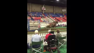 Kentucky State Fair 2016 Horse Pull