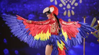 Traje Típico "Guacamaya Tricolor",  Venezuela en el @MissIntercontinental  2022 Emmy Carrero