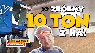 ZRÓBMY 10 TON Z HA ! (ŻNIWA 2021 - PSZENICA)