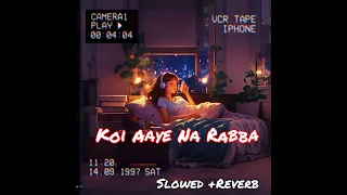 Koi Aaye Na Rabba [Slowed+Reverb)| DAAKA- Gippy Grewal, Zareen Khan| BPraak | Sad Songs | NS Lofi