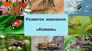 Розвиток мовлення:"Комахи" ( середня група)